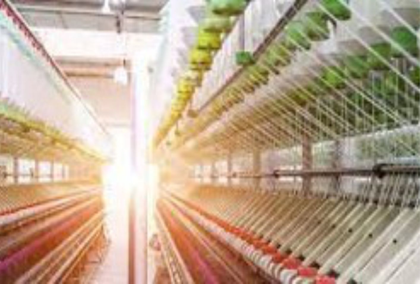 Têxtil e Plástico